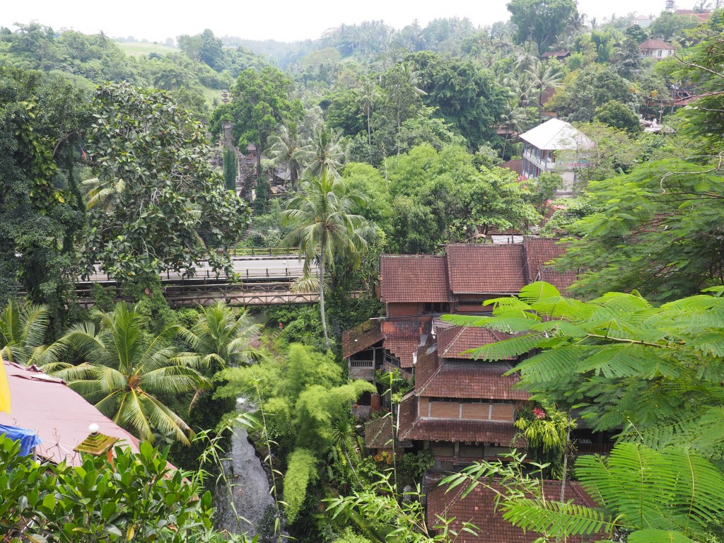 Вид на Убуд с террасы музея